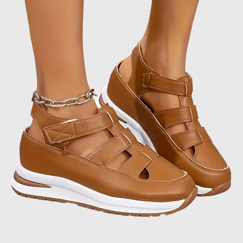 Brown / 11 US | 42 EU